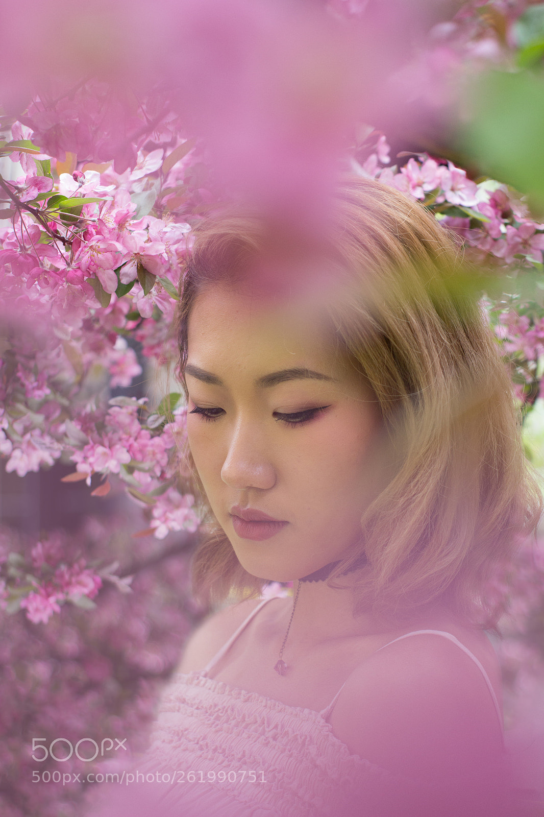 Canon EOS 60D sample photo. Spring blossom with rosalie photography