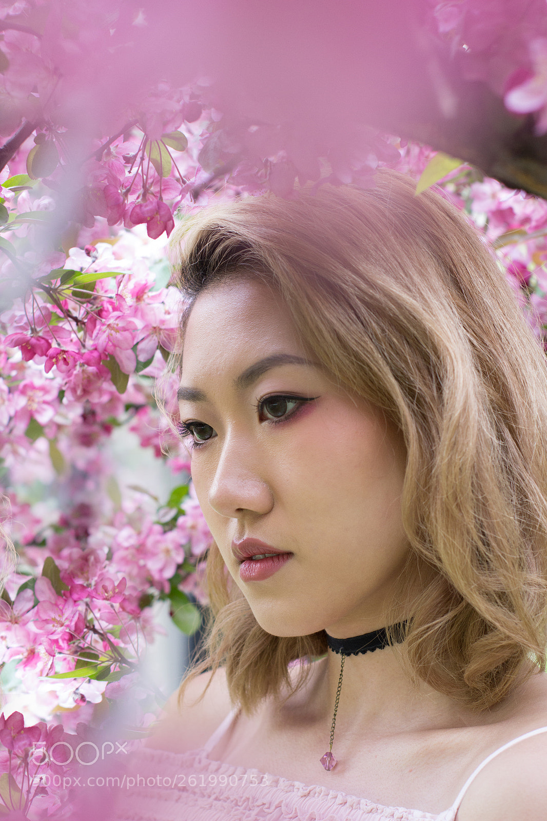 Canon EOS 60D sample photo. Spring blossom with rosalie photography