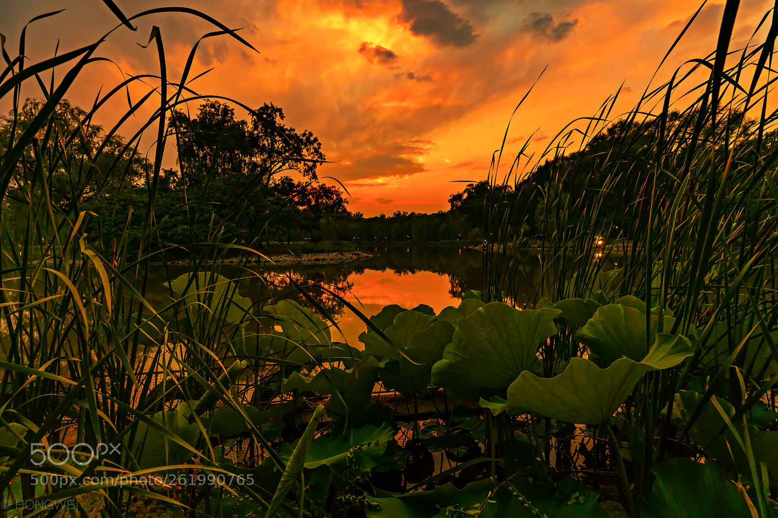 Canon EOS 5D Mark IV sample photo. Sunset photography