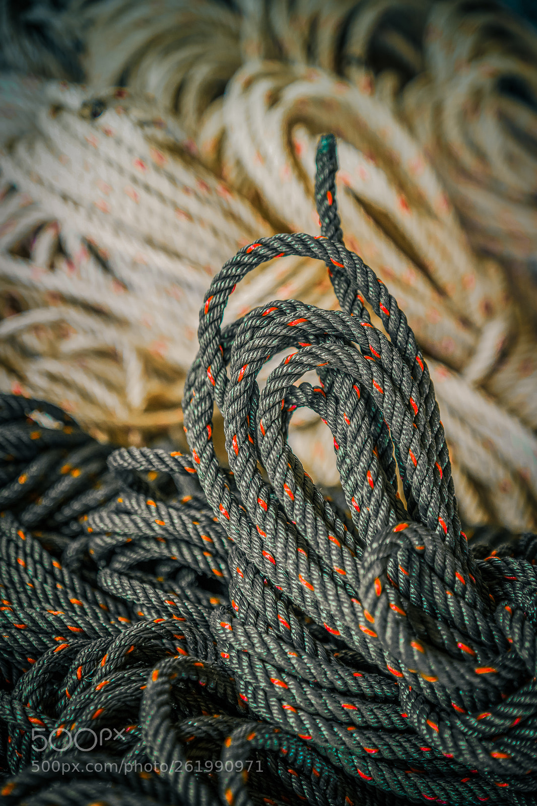 Sony SLT-A77 sample photo. Rope photography