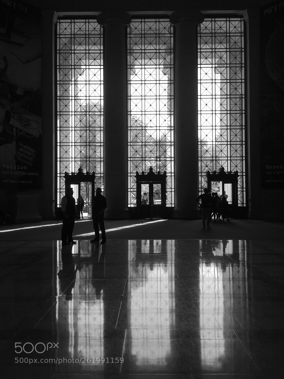 Apple iPhone 6s Plus sample photo. Untitled photography