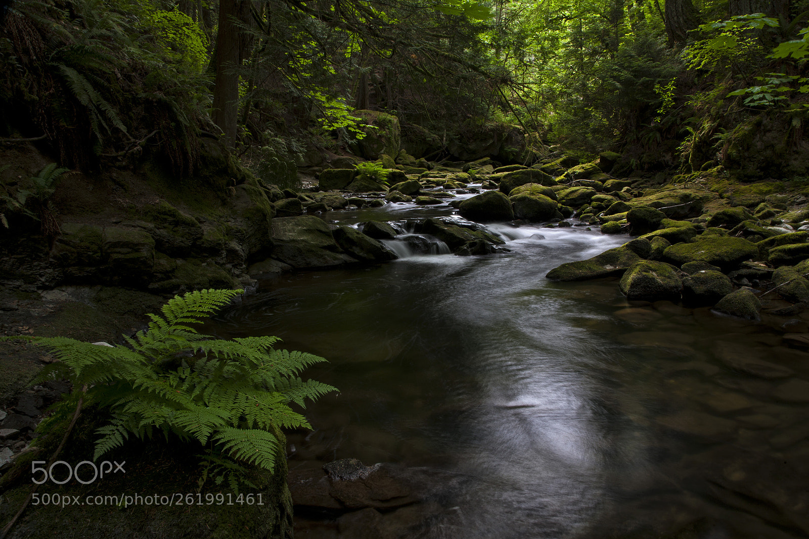 Canon EOS 5D sample photo. Whatcom creek photography