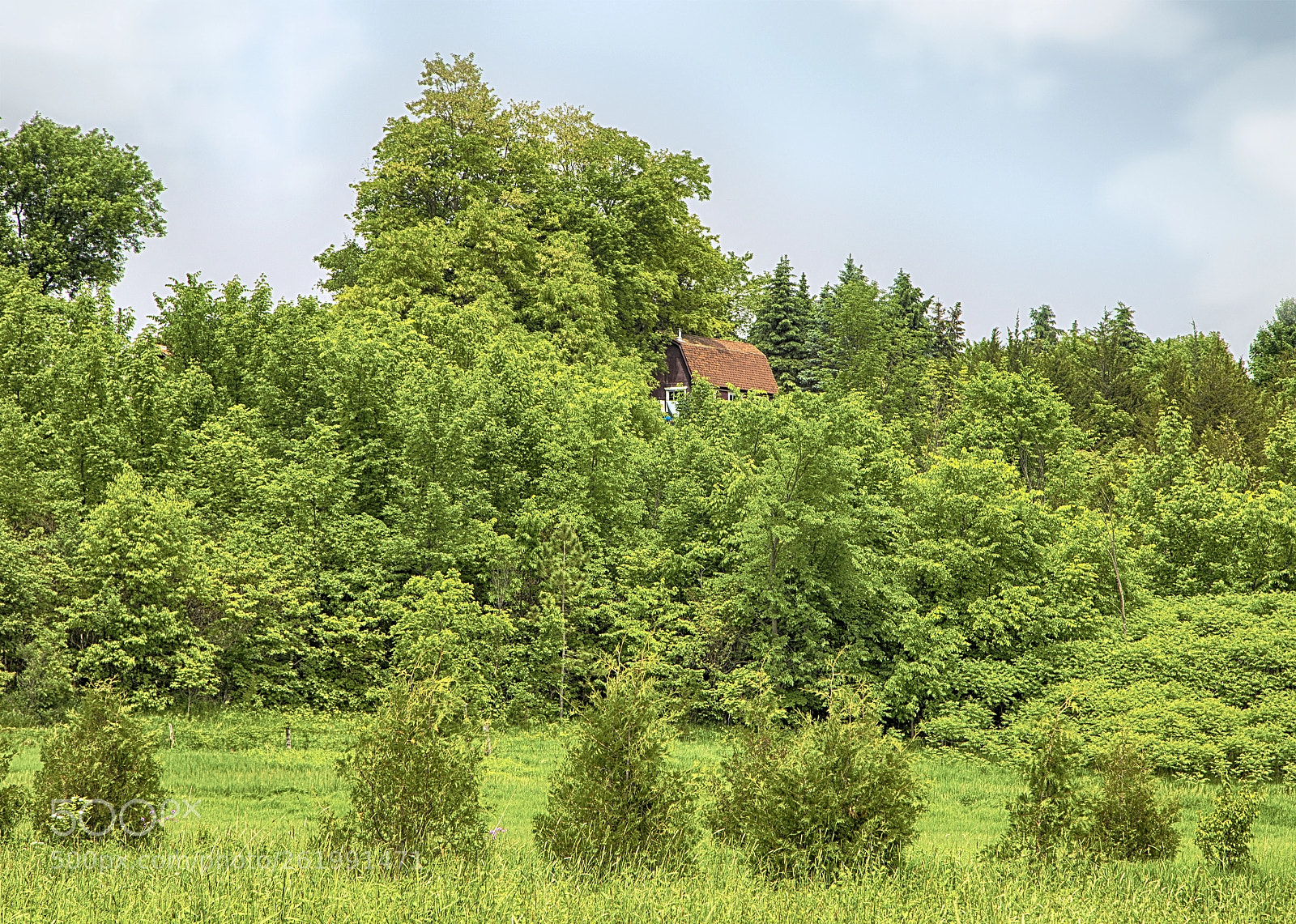 Canon EOS 5D Mark IV sample photo. House in the forest photography