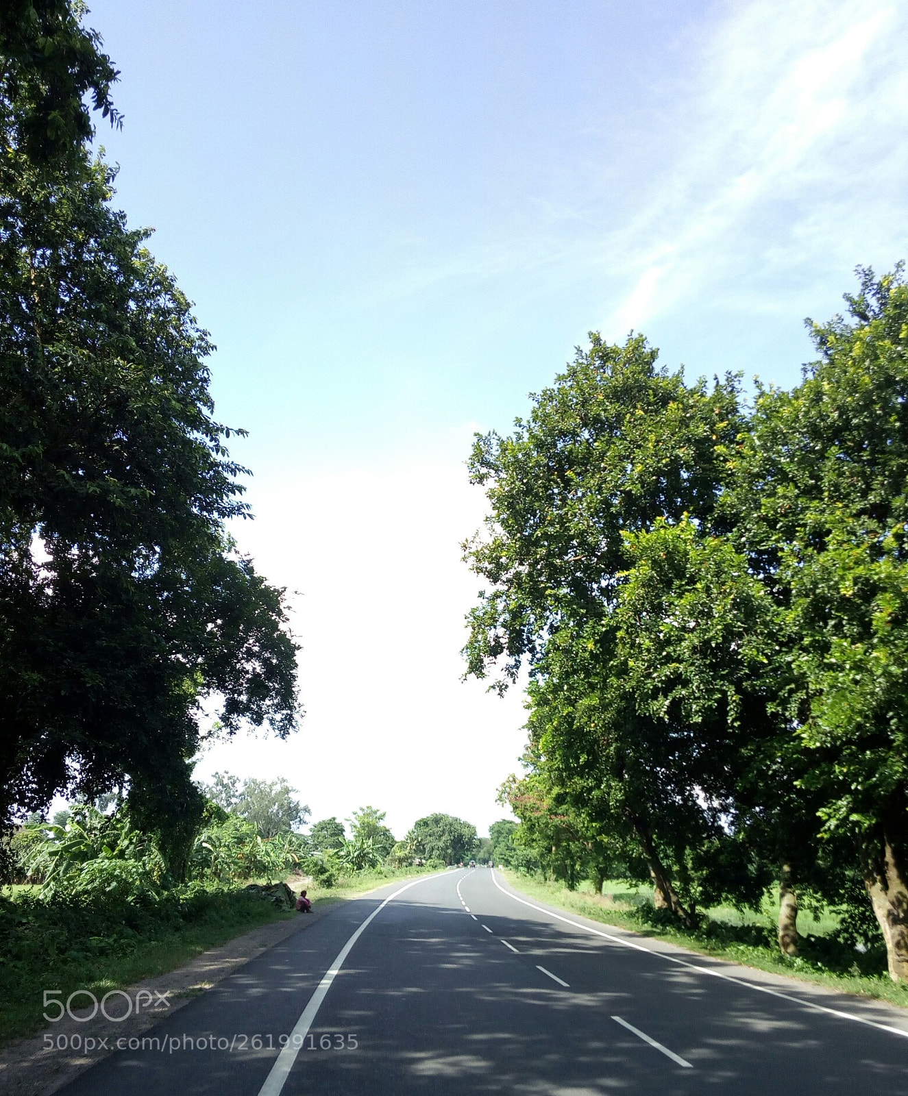 Panasonic P55 Novo 4G sample photo. Highway.jpg photography