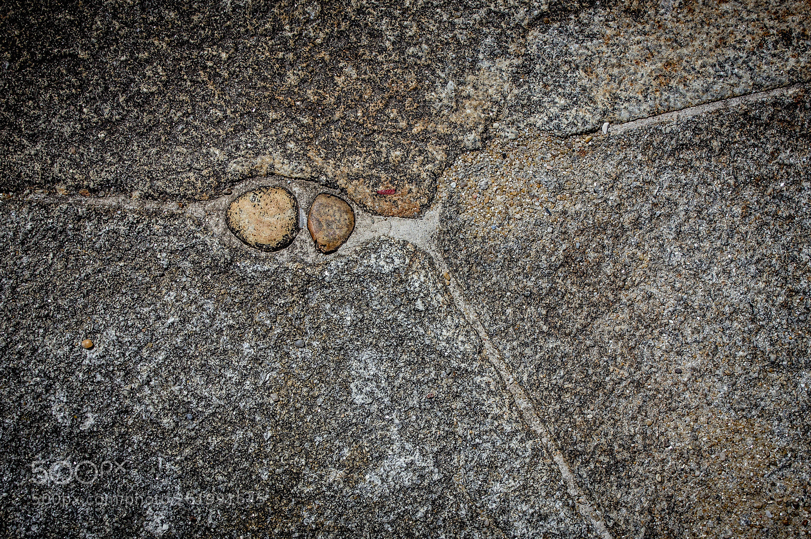 Canon EOS 600D (Rebel EOS T3i / EOS Kiss X5) sample photo. Ancient fish story photography