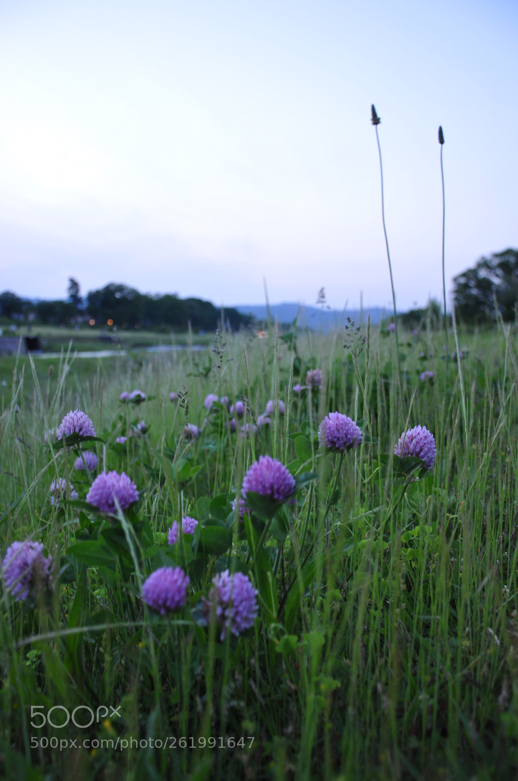 Nikon D90 sample photo. Riverside  photography