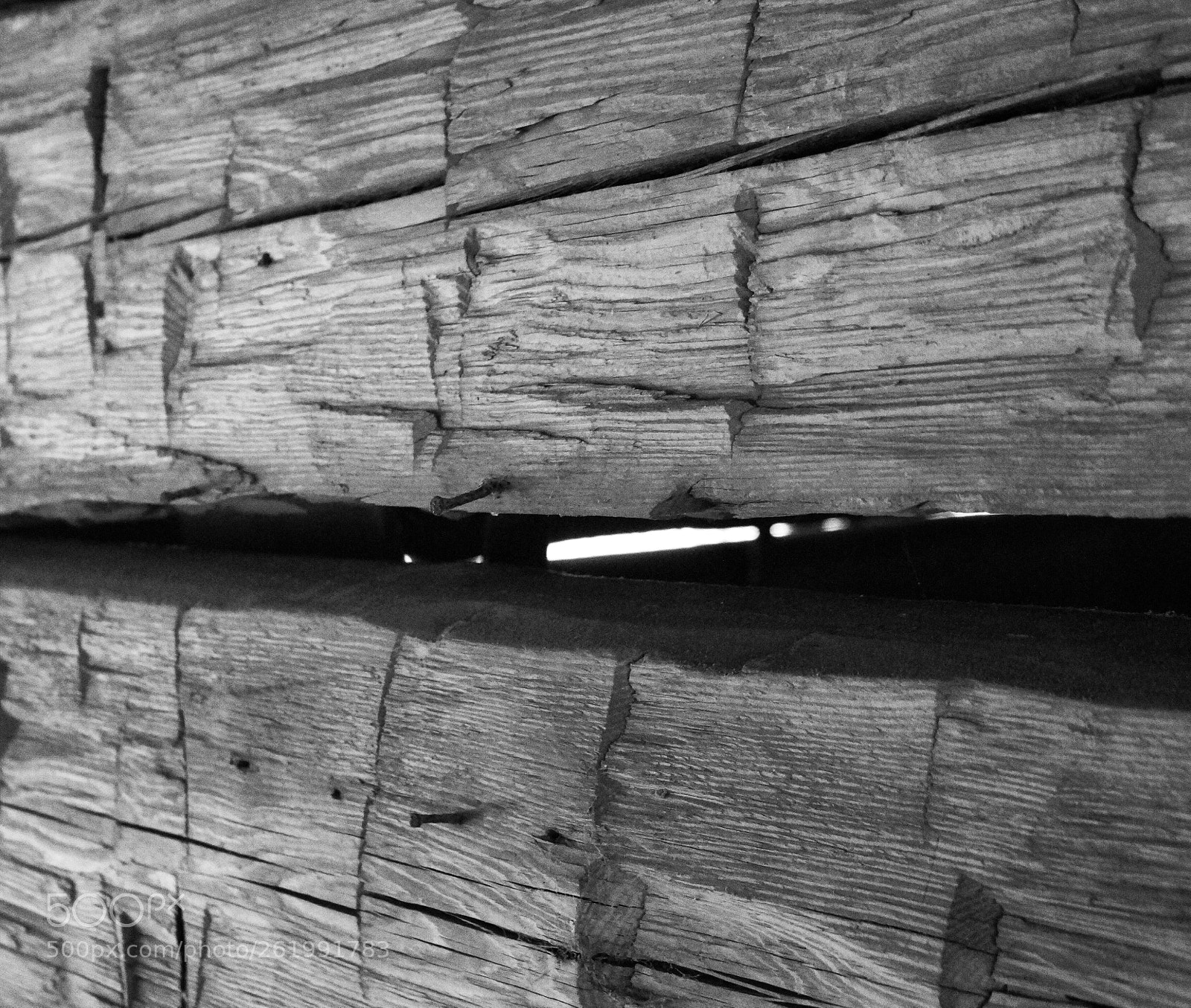 Sony SLT-A58 sample photo. Untitled photography