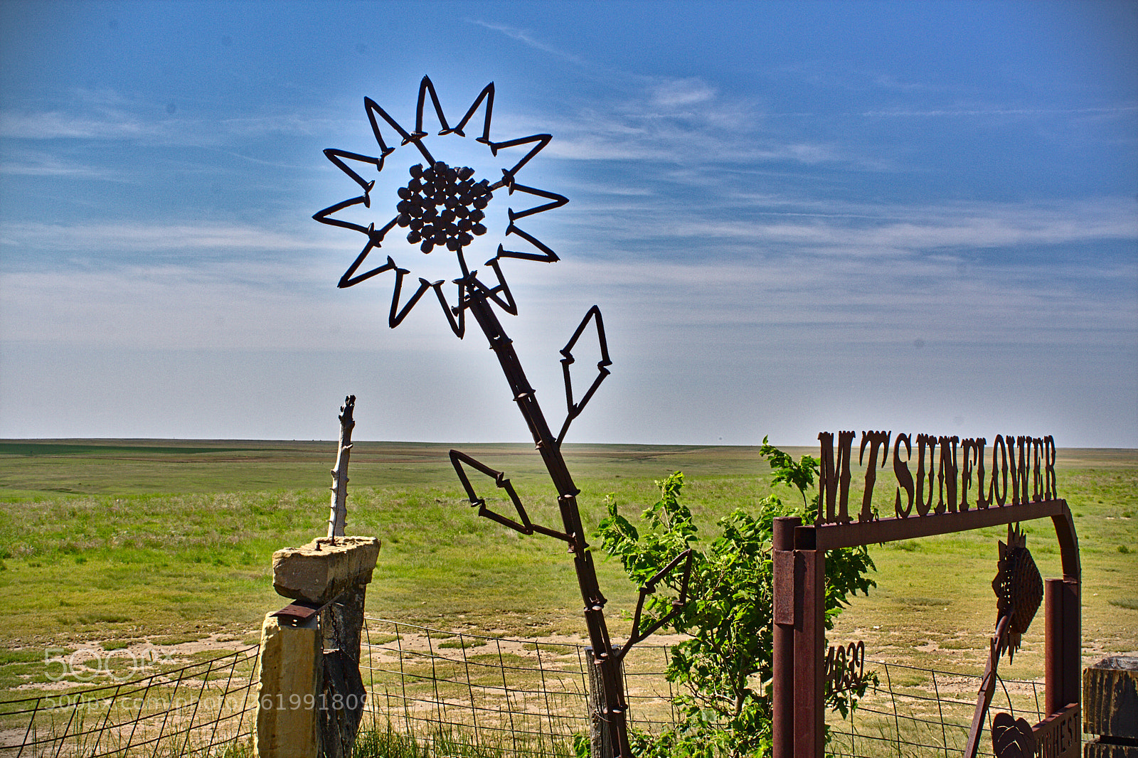 Canon EOS 1000D (EOS Digital Rebel XS / EOS Kiss F) sample photo. Mount sunflower photography