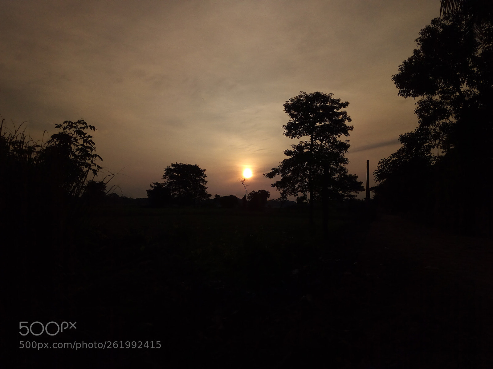 Panasonic P55 Novo 4G sample photo. Sun rise photography