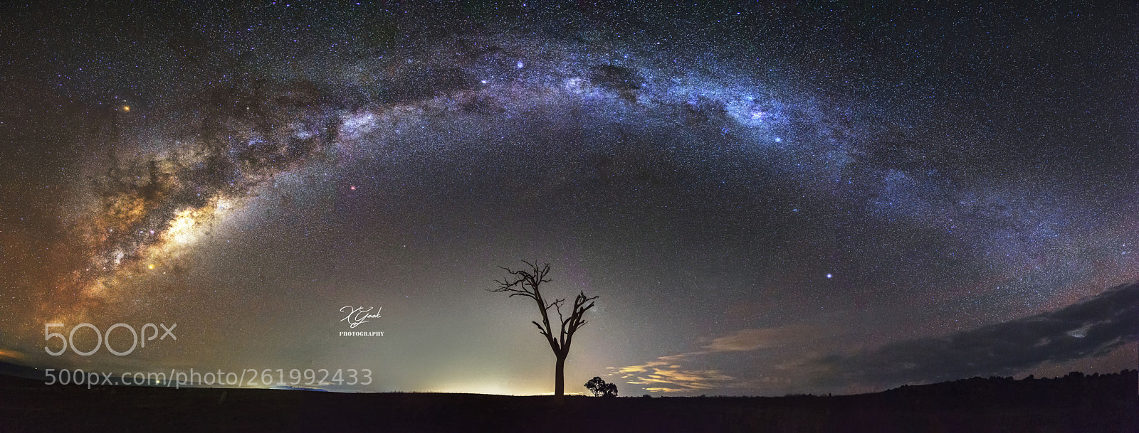 Sony a7 II sample photo. The tree of eli photography