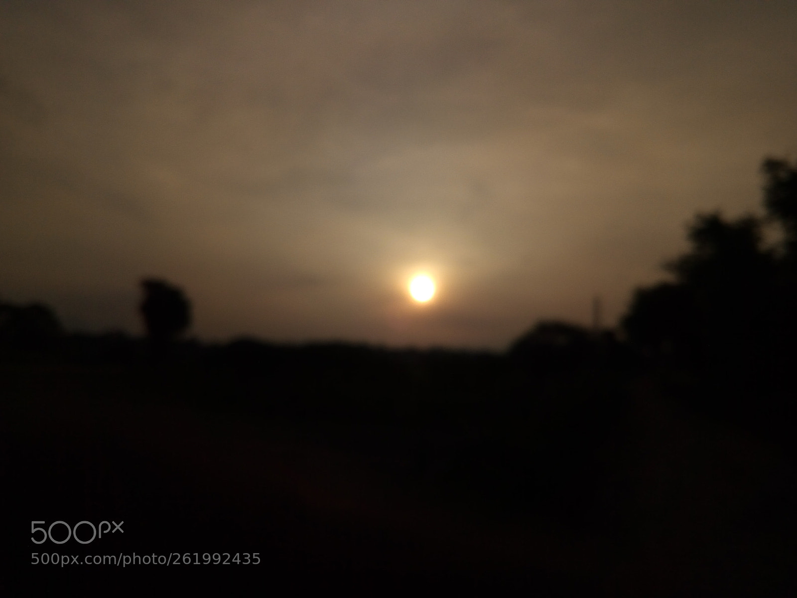 Panasonic P55 Novo 4G sample photo. Sun rise photography