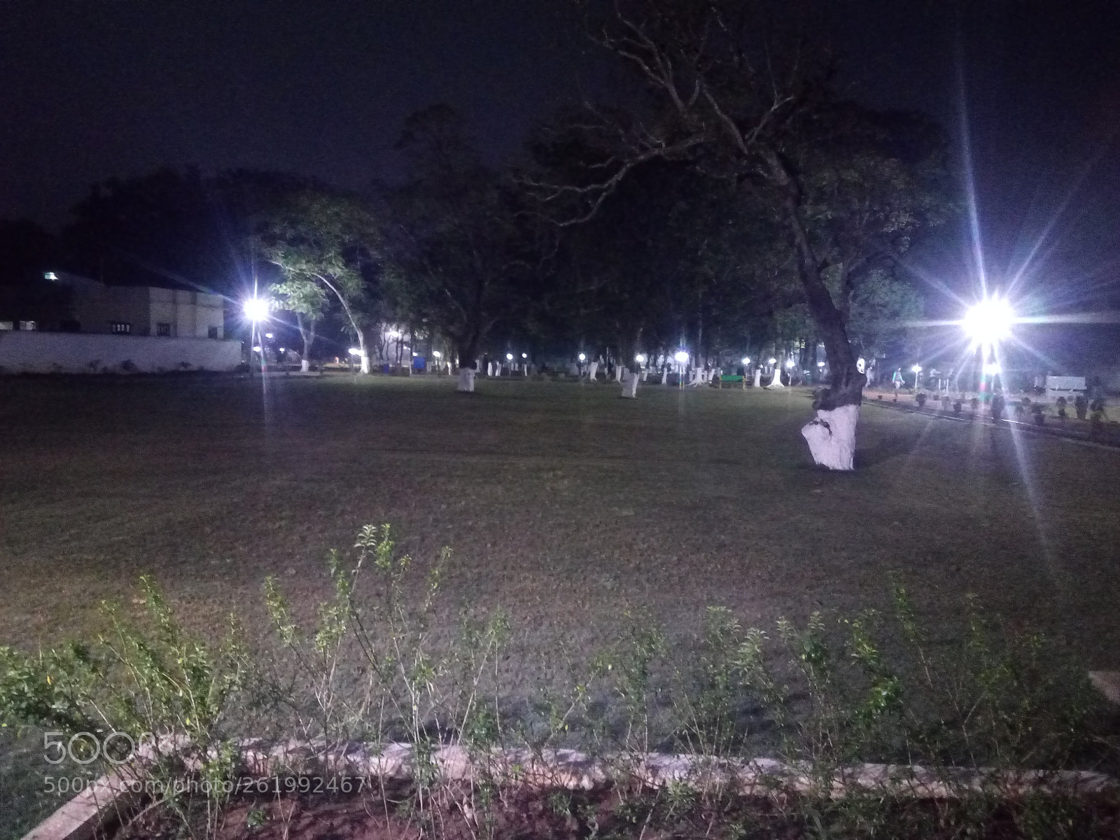 Panasonic P55 Novo 4G sample photo. Park in the morning photography