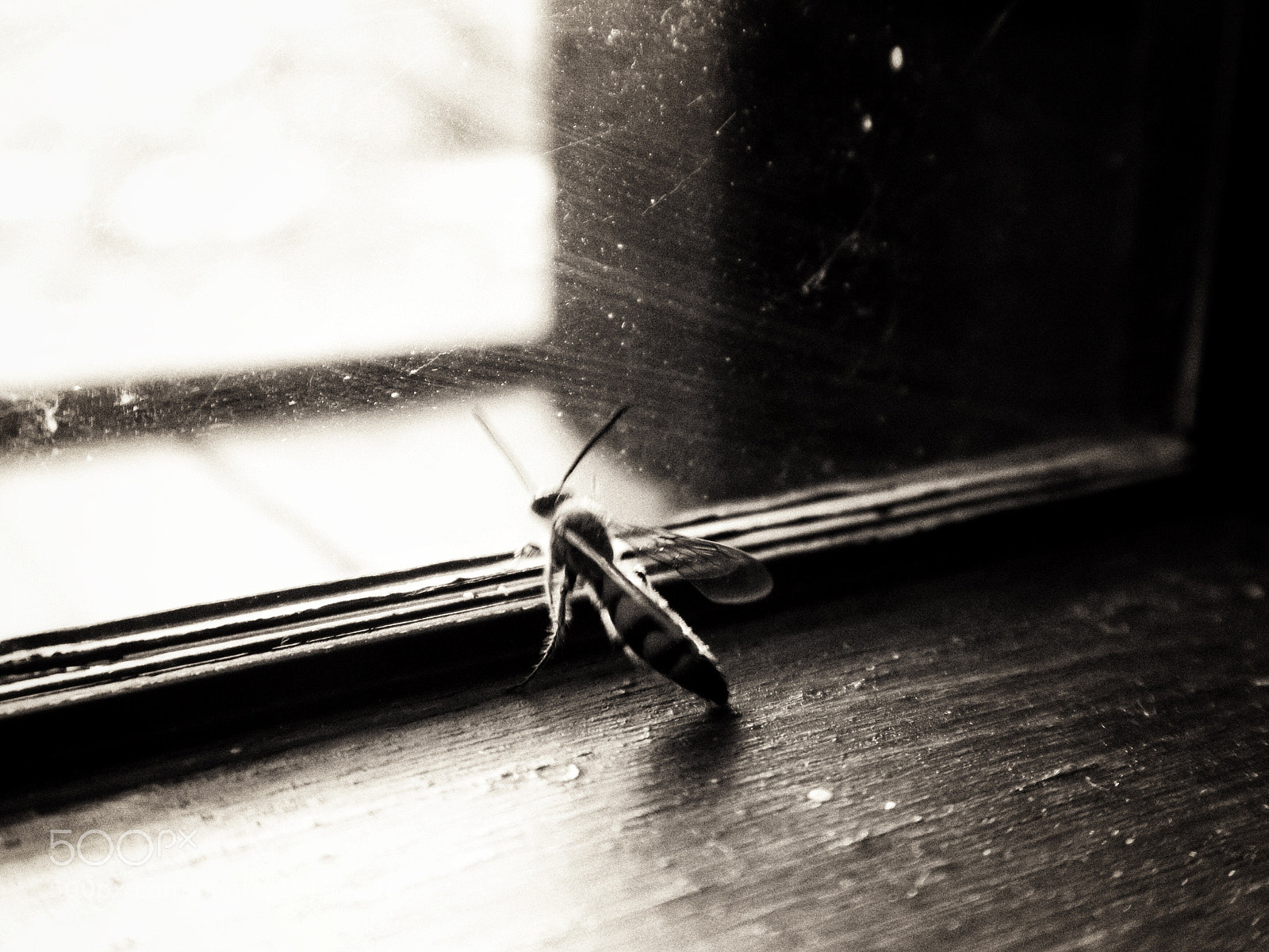 Canon PowerShot G7 X sample photo. Untitled photography