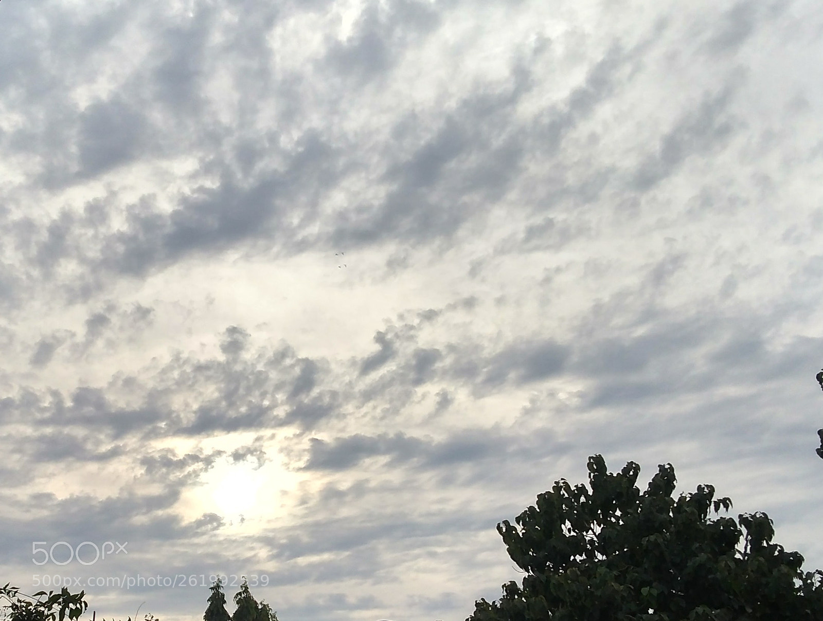 Motorola Moto G (5S) Plus sample photo. Hidenseek_sun_rise photography