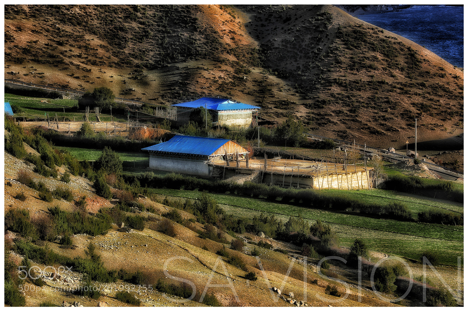 Canon EOS 5D Mark IV sample photo. Untitled photography