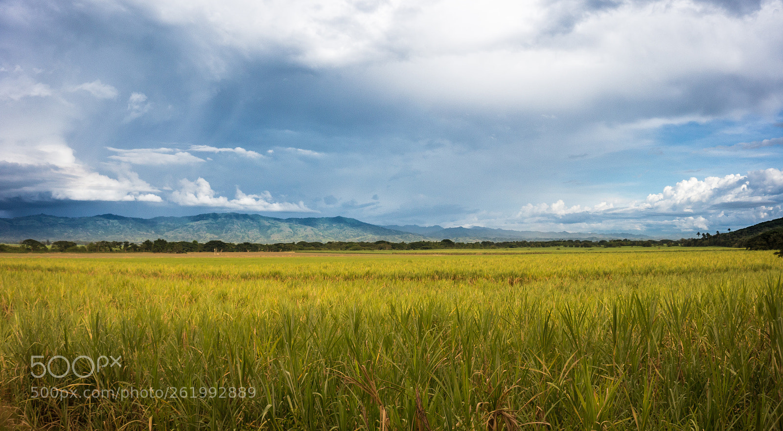 Sony Alpha a3500 sample photo. El valle iluminado photography