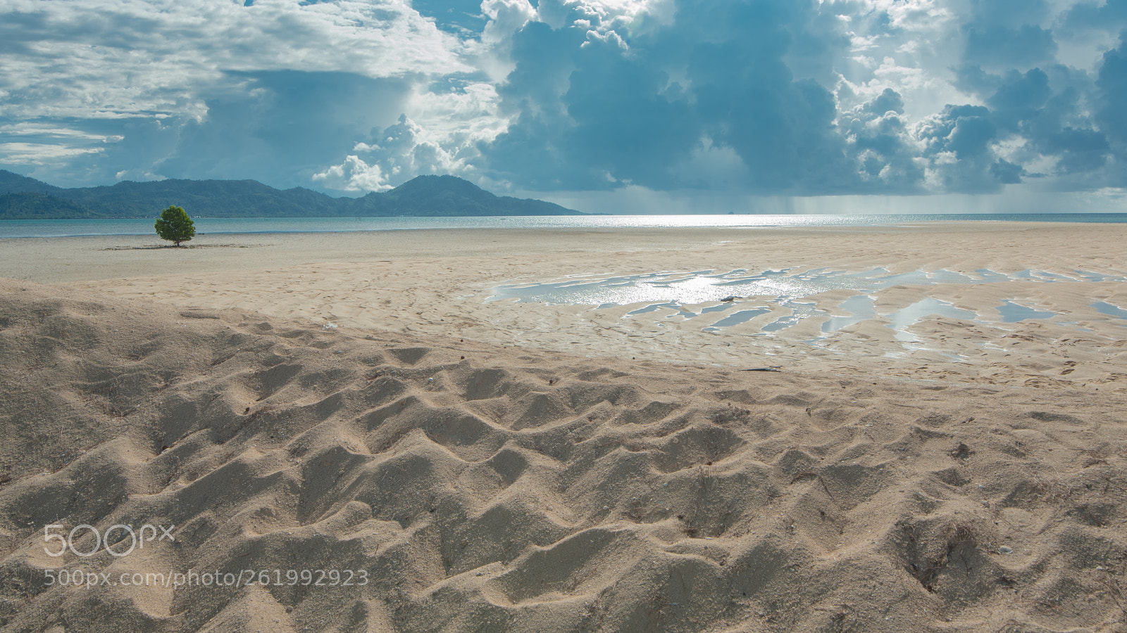 Nikon D750 sample photo. Between the tide and photography