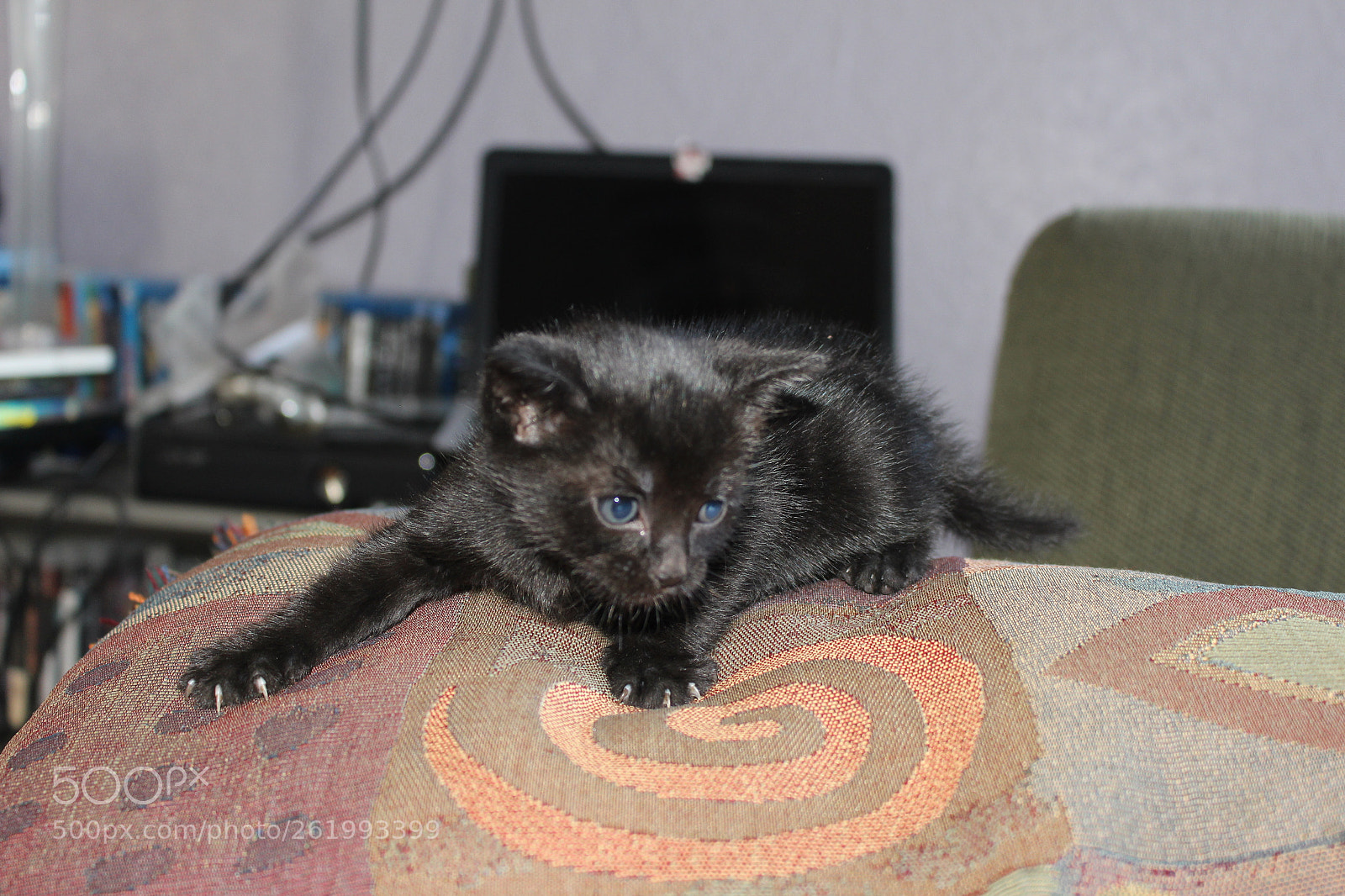 Canon EOS 700D (EOS Rebel T5i / EOS Kiss X7i) sample photo. Img photography