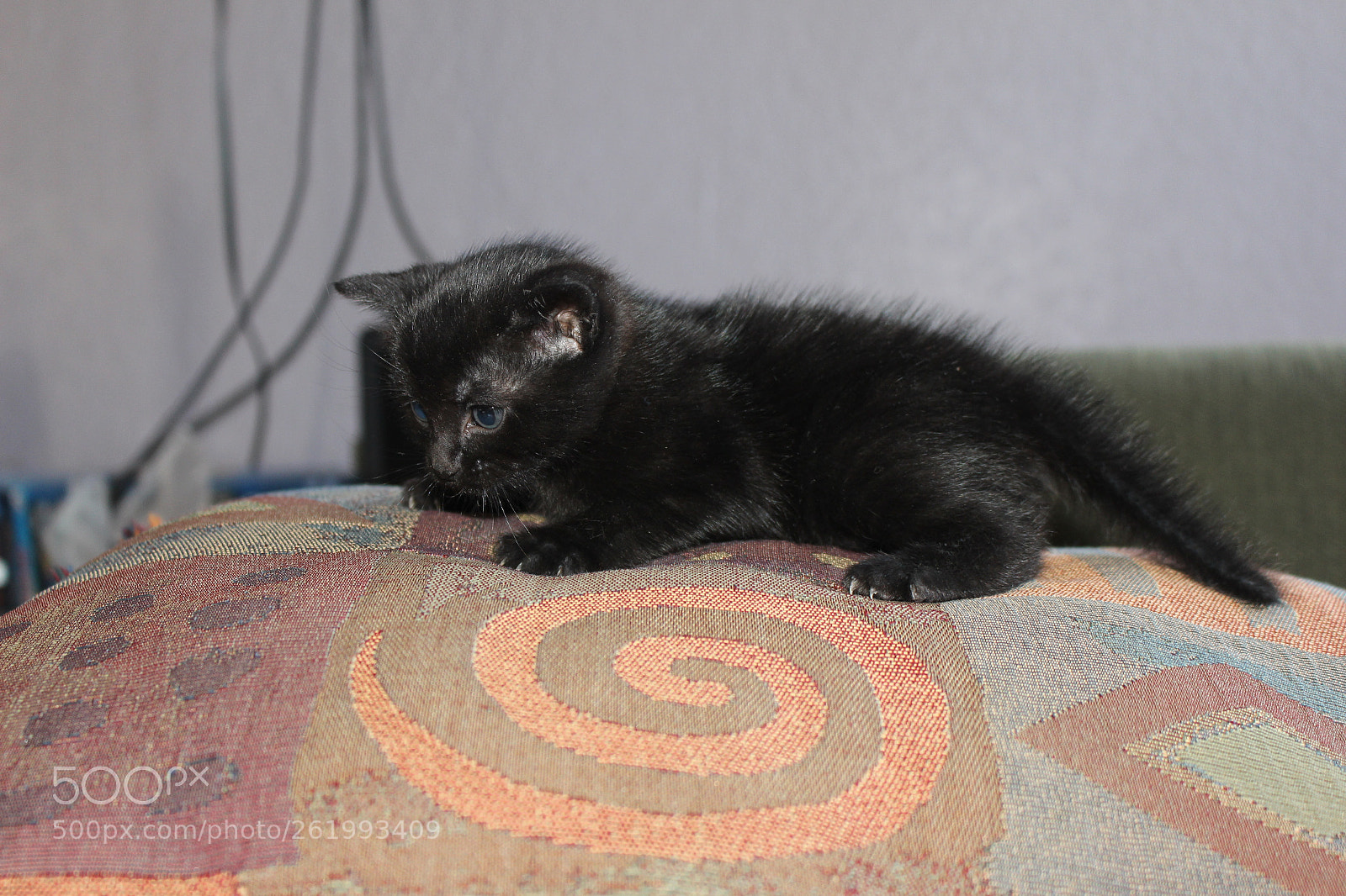 Canon EOS 700D (EOS Rebel T5i / EOS Kiss X7i) sample photo. Img photography