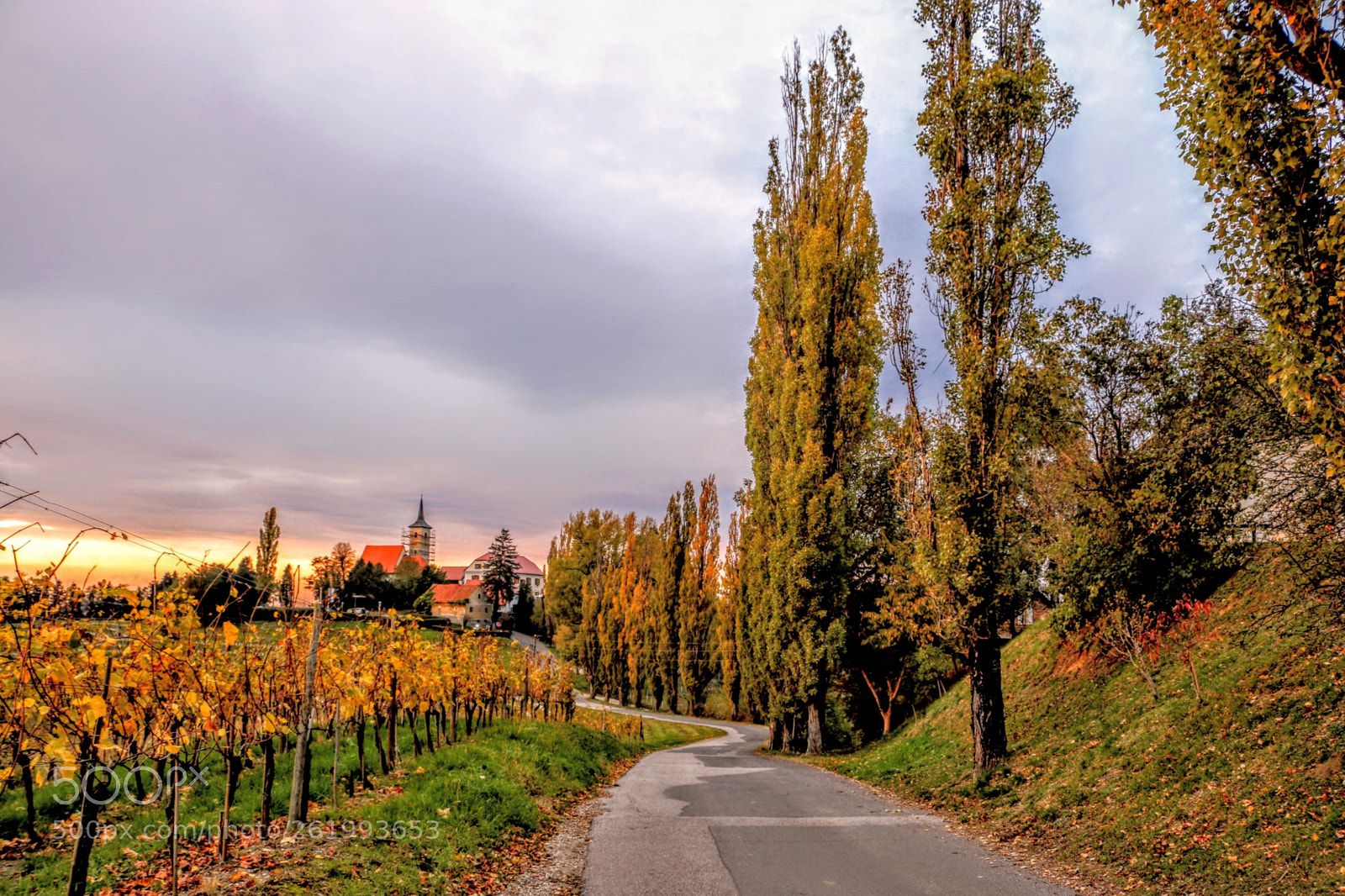 Canon EOS 70D sample photo. Jeruzalem, slovenia photography