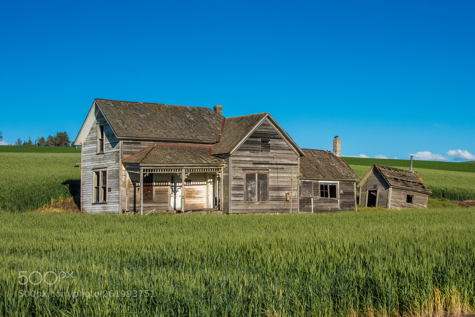 Nikon D810 sample photo. Living legacy photography
