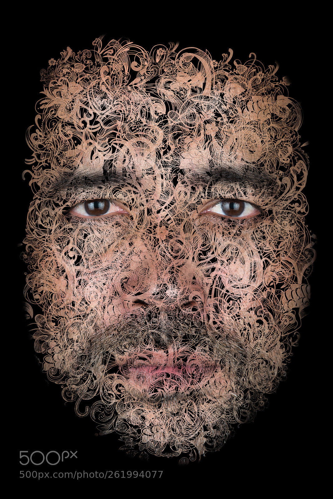 Nikon D810 sample photo. Art photography
