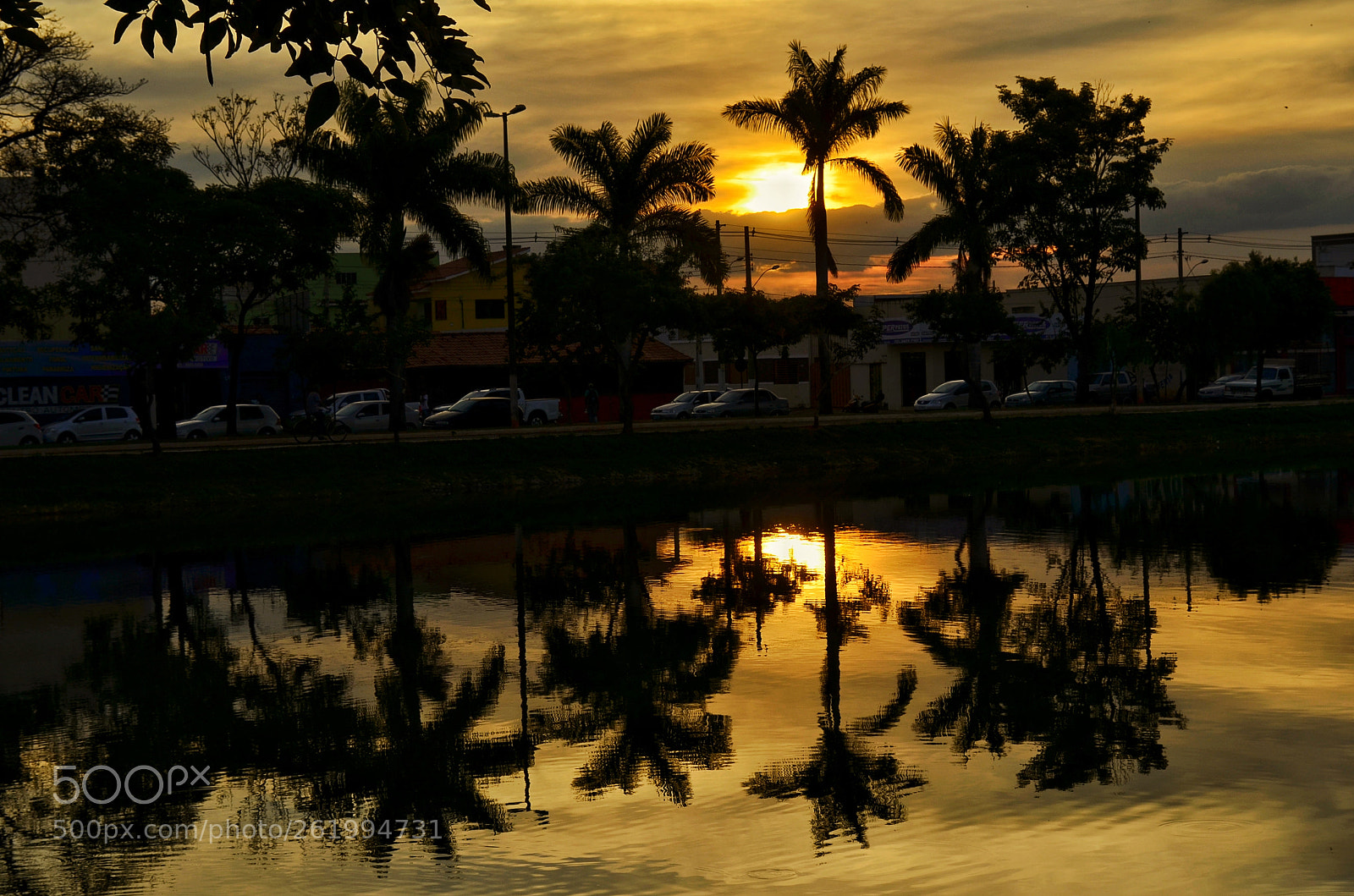 Nikon D5100 sample photo. Reflexo photography