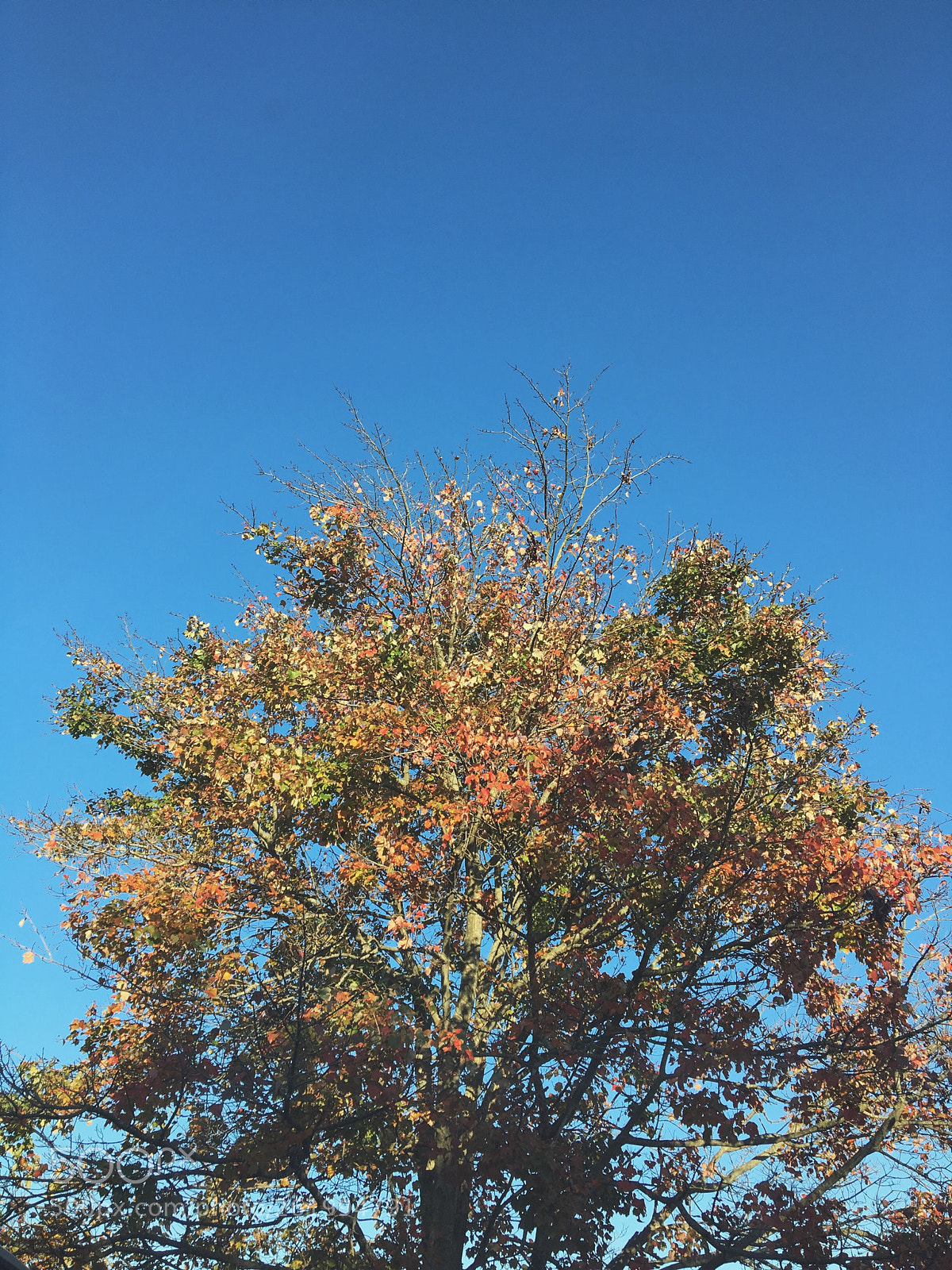Apple iPhone 6s sample photo. Old but good photography