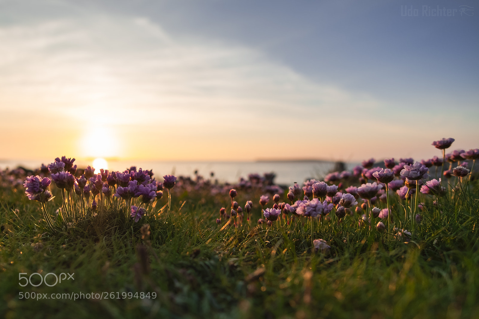 Fujifilm X-T20 sample photo. "sunset & sea thrift" photography