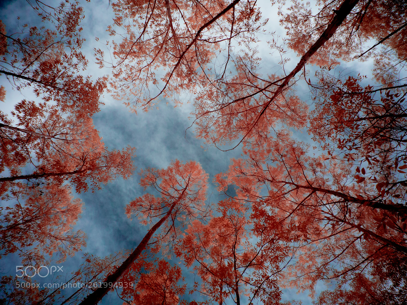 Panasonic Lumix DMC-GF3 sample photo. Infrared joaquim egidio pico photography