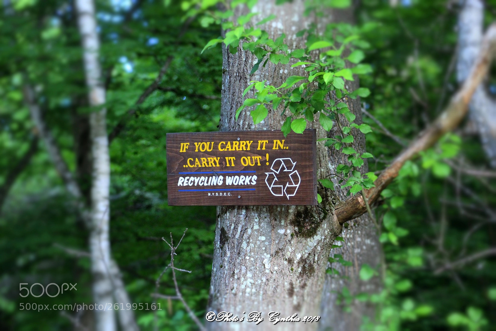 Canon EOS 1300D (EOS Rebel T6 / EOS Kiss X80) sample photo. Kaaterskill falls trail entrance photography