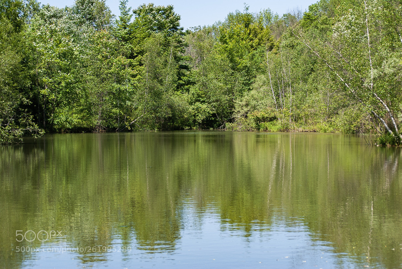 Nikon D3000 sample photo. Blurred reflections photography
