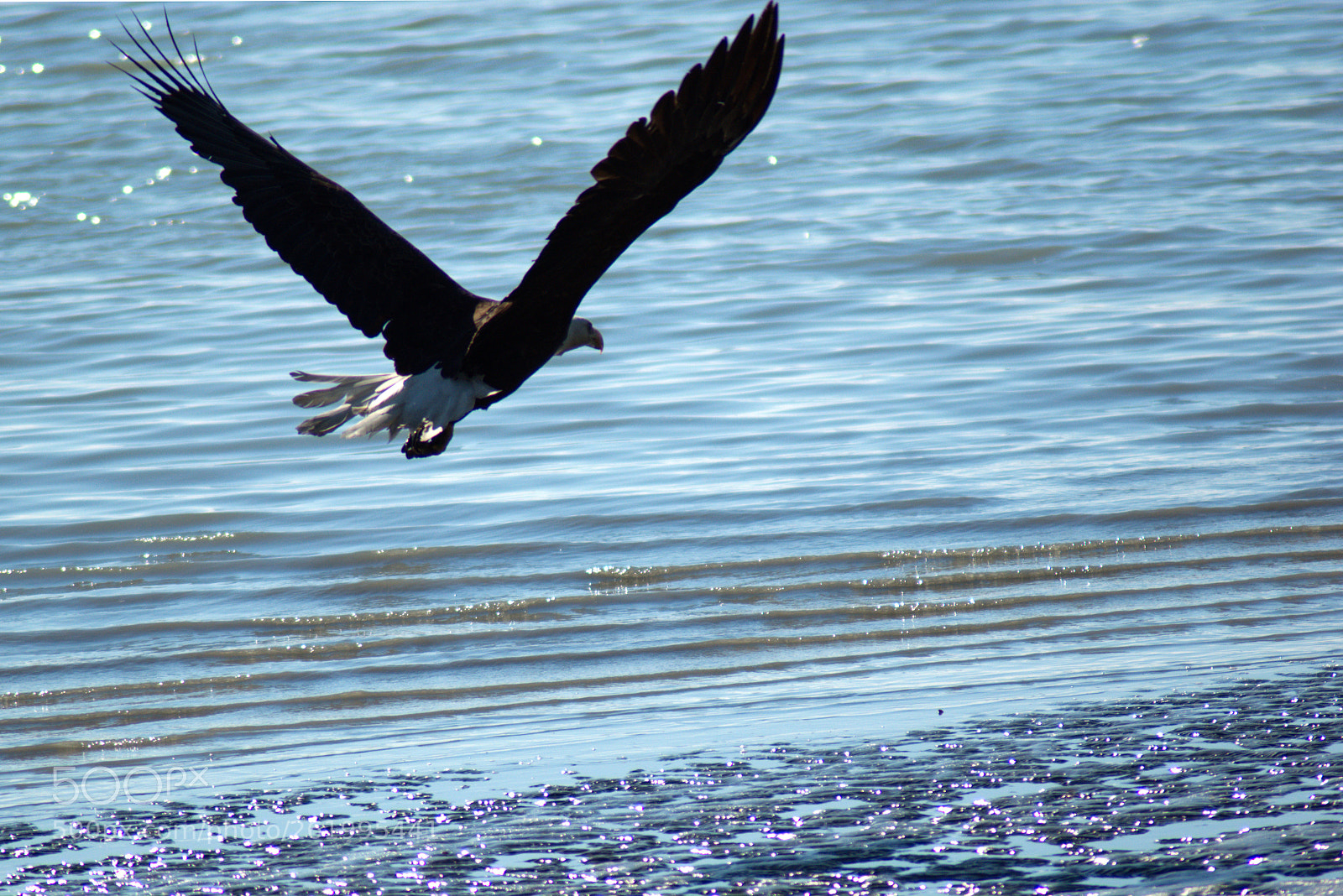 Nikon D5300 sample photo. Flight photography