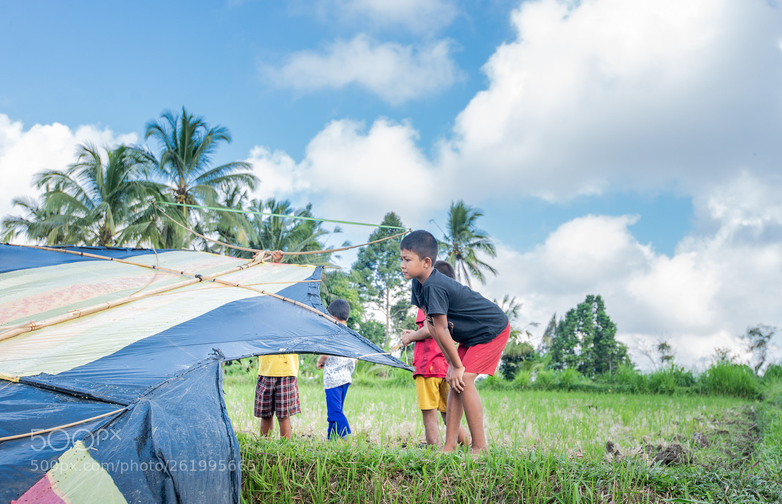 Nikon D600 sample photo. Kite kid photography