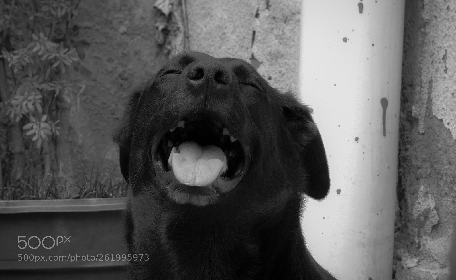 Panasonic Lumix DMC-FZ70 sample photo. Hermoso photography