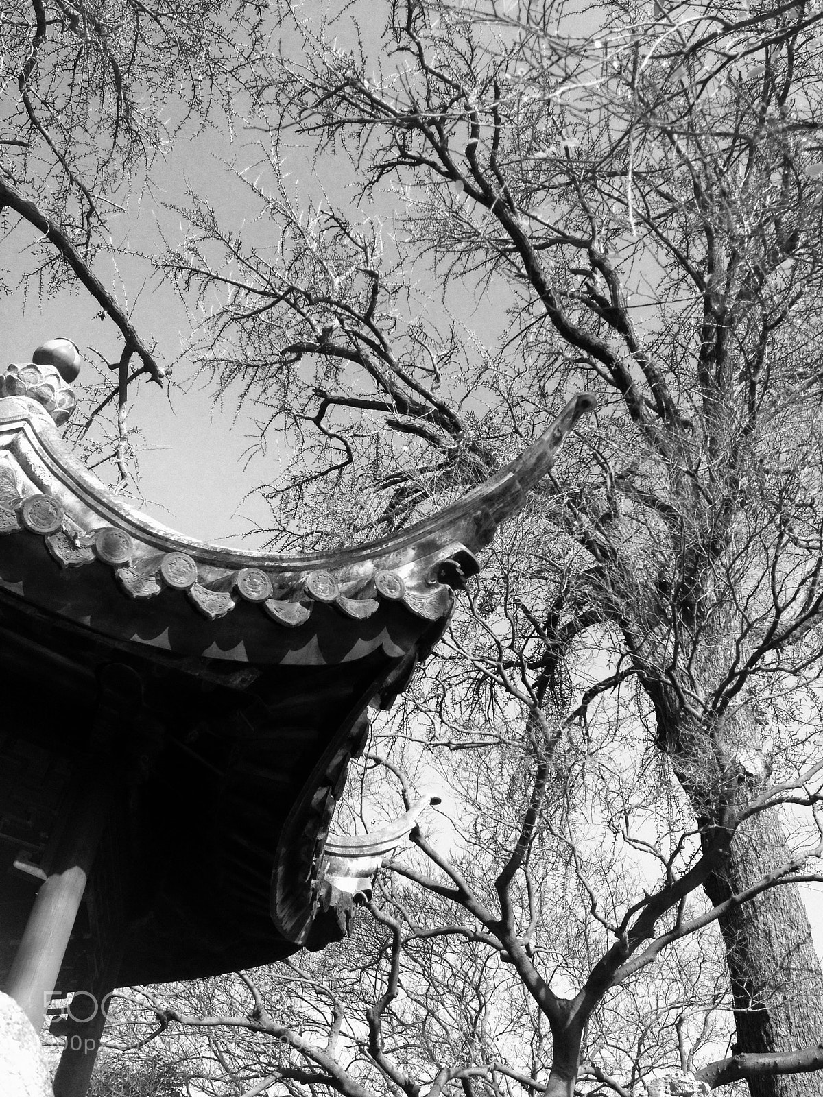 Apple iPhone 4S sample photo. Untitled photography