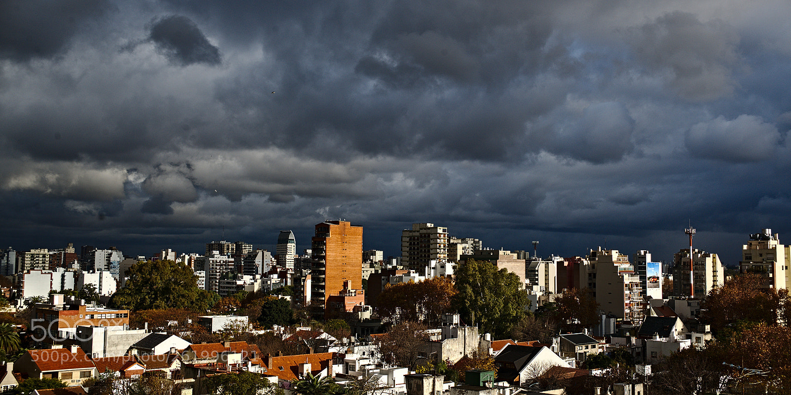 Nikon D600 sample photo. Contrasts photography