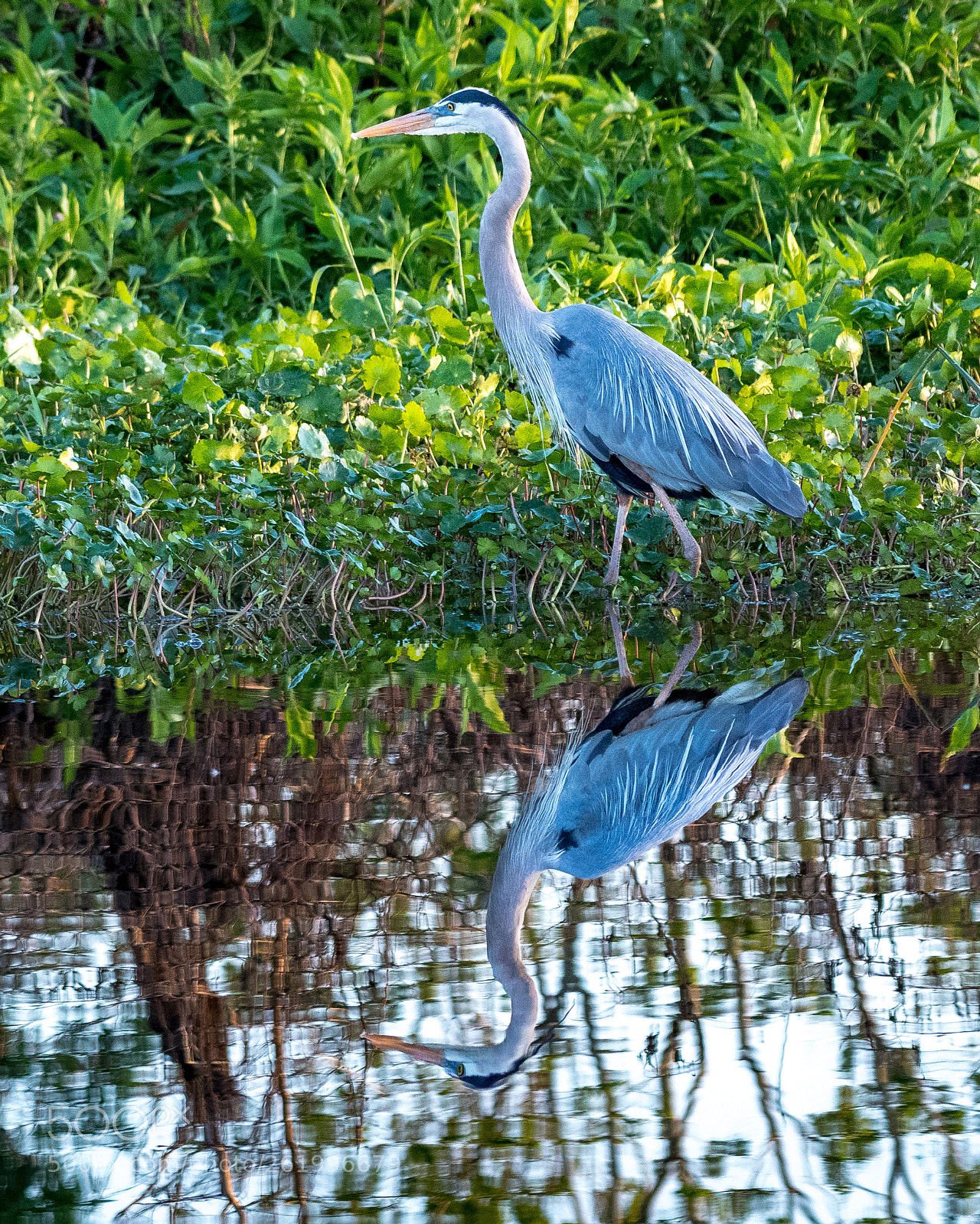 Nikon D850 sample photo. Edit photography