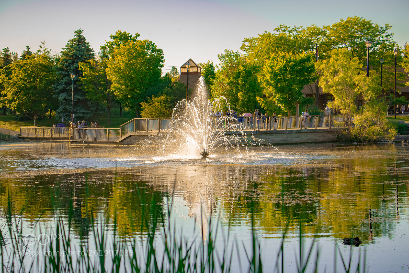 Canon EOS 750D (EOS Rebel T6i / EOS Kiss X8i) sample photo. Fountain in the park photography