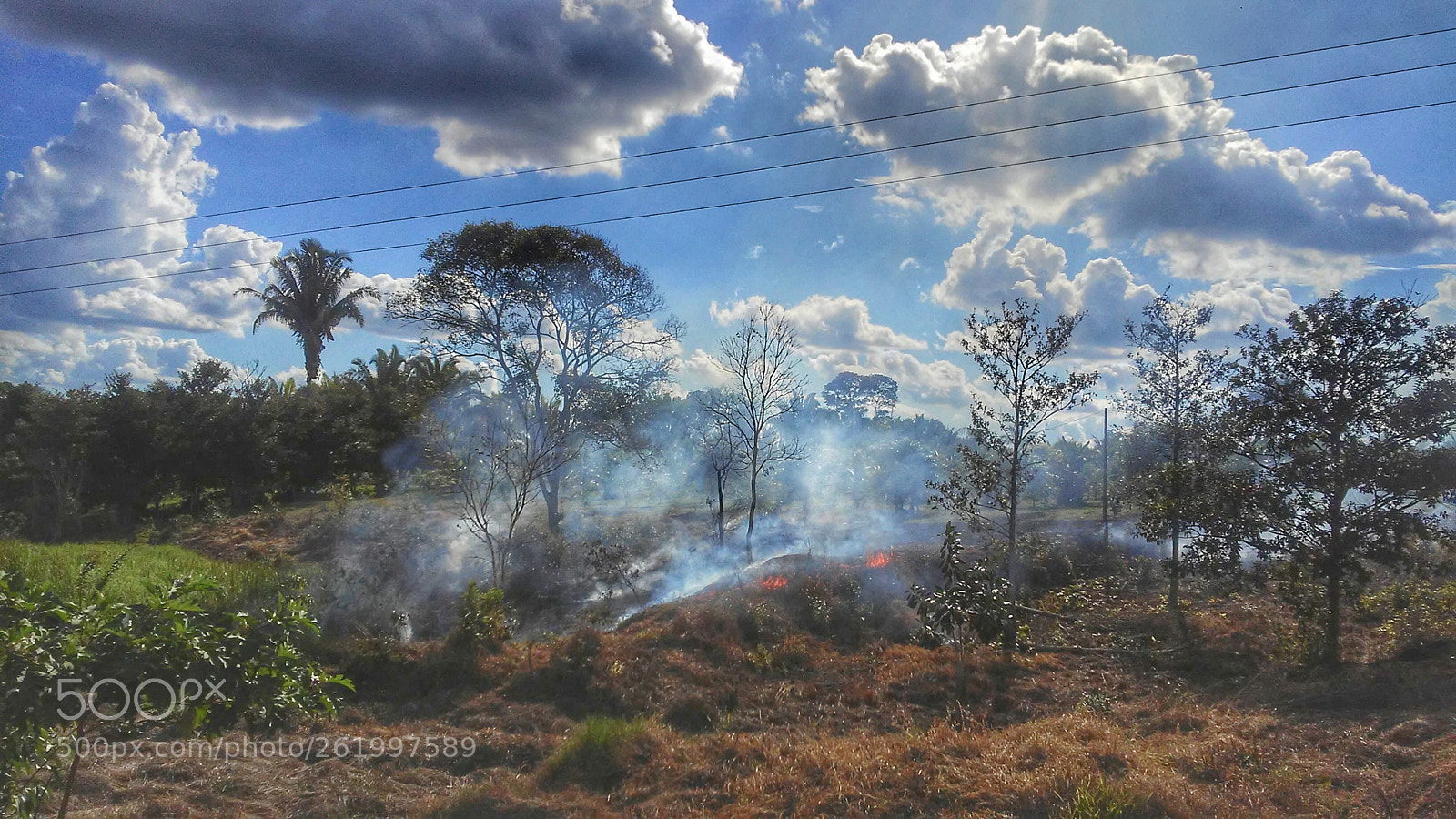 LG X STYLE sample photo. Fire in the vegetation photography
