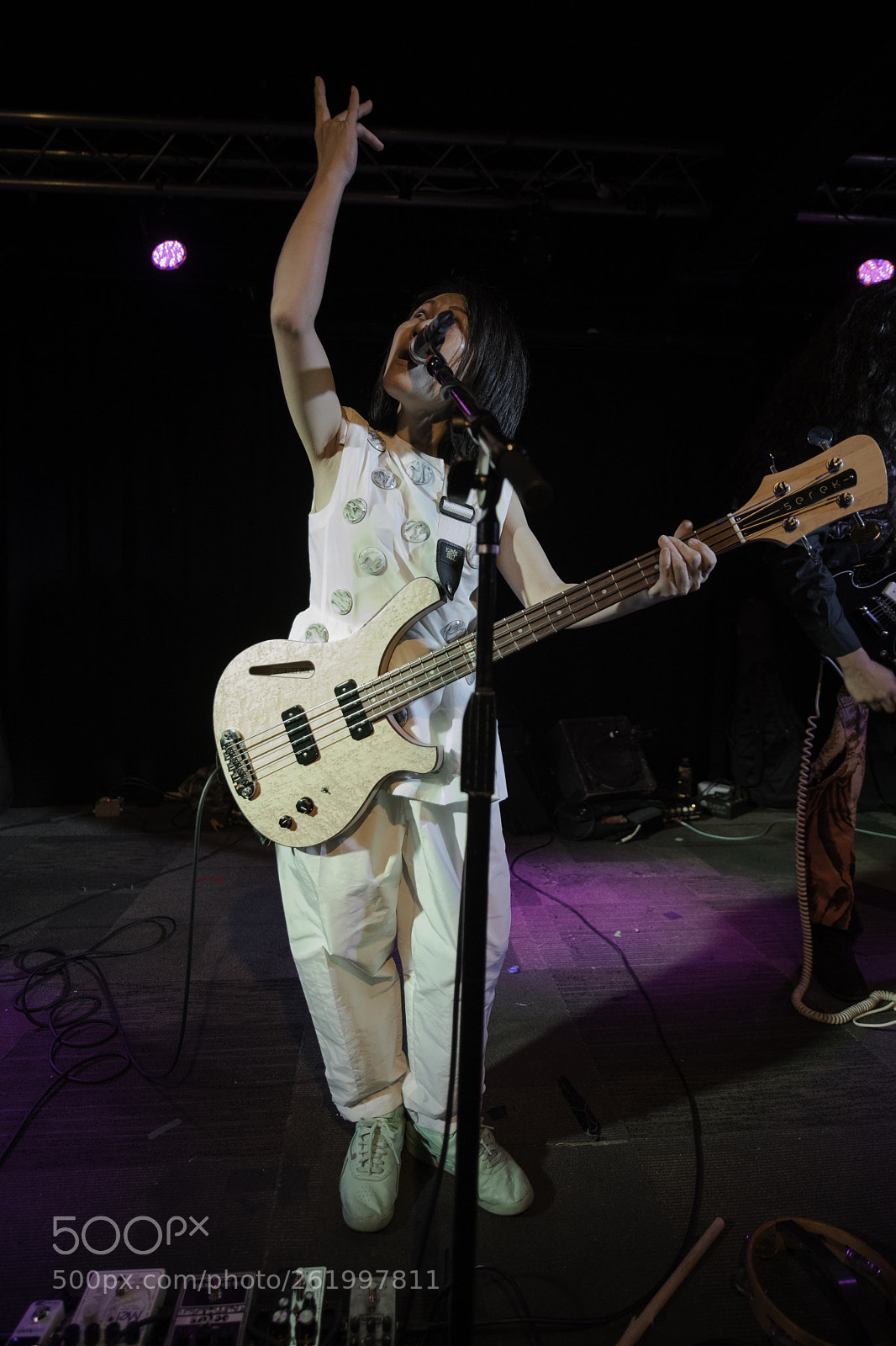 Nikon D850 sample photo. Deerhoof photography