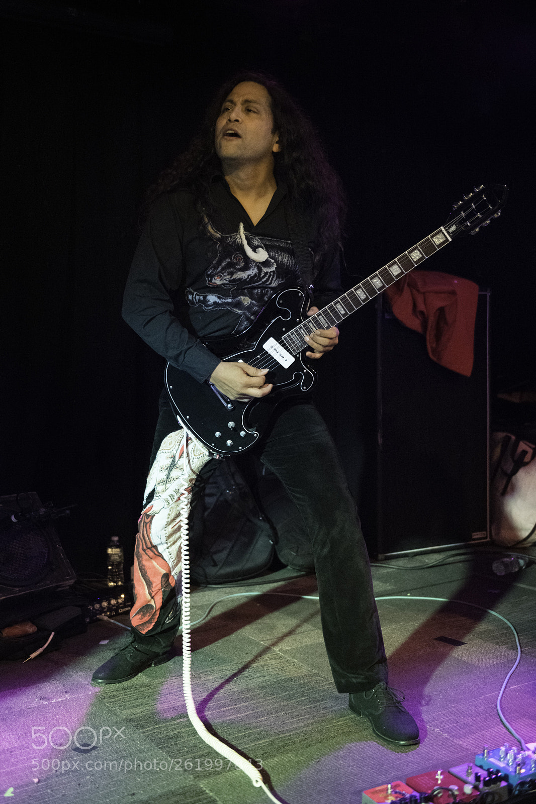 Nikon D850 sample photo. Deerhoof photography