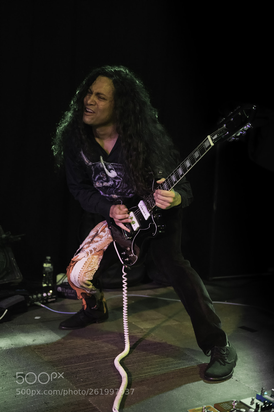 Nikon D850 sample photo. Deerhoof photography