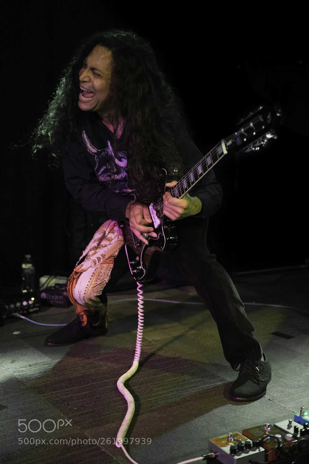 Nikon D850 sample photo. Deerhoof photography
