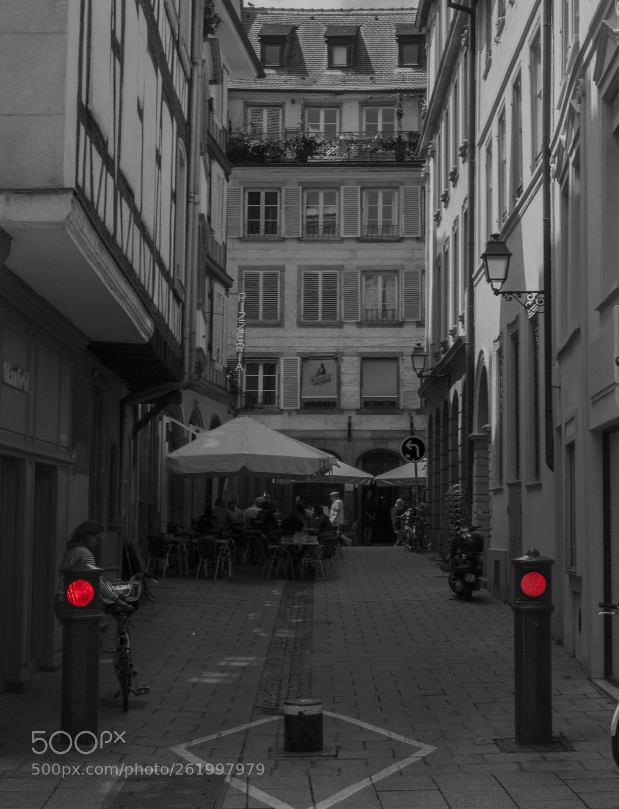 Canon EOS 50D sample photo. Reds photography