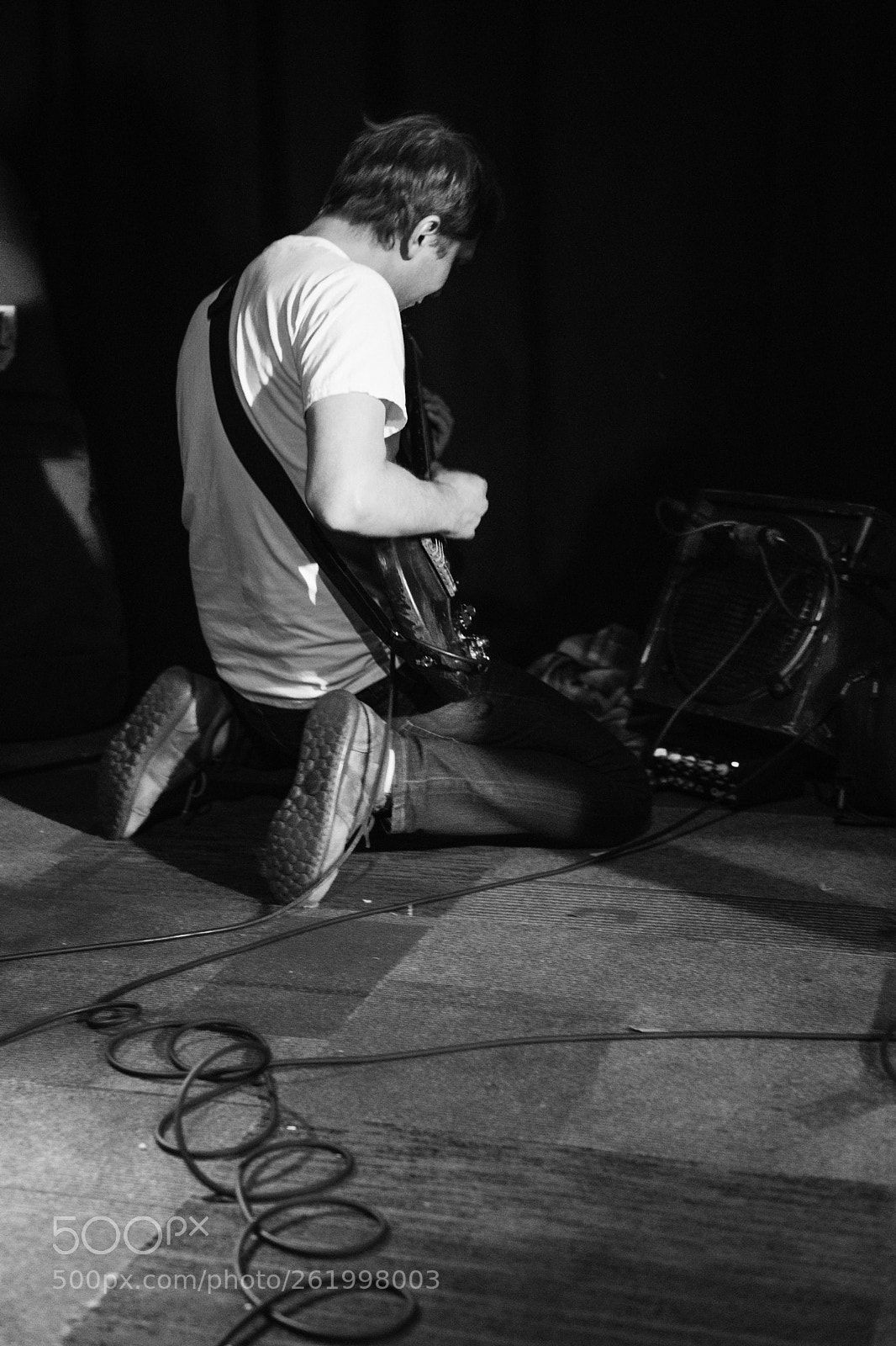 Nikon D850 sample photo. Deerhoof photography