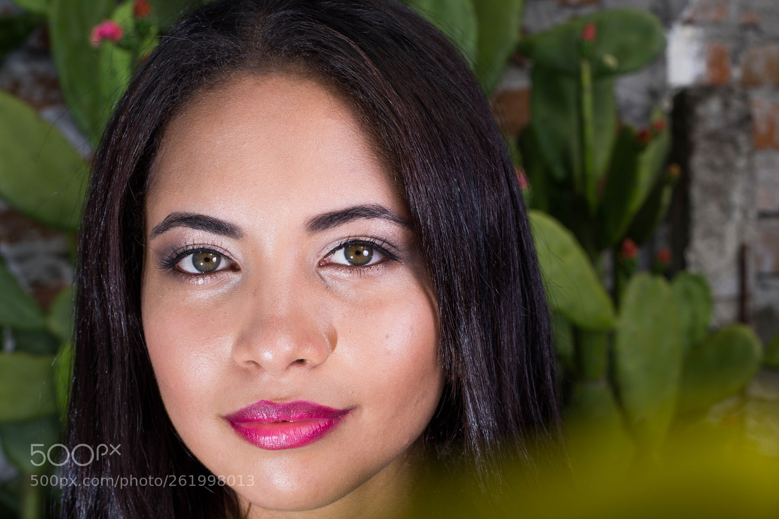Nikon D7200 sample photo. Untitled photography