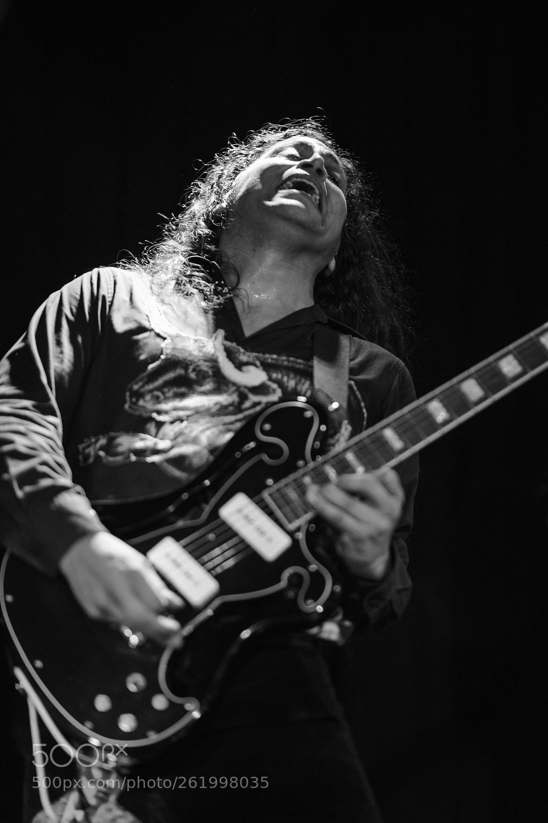 Nikon D850 sample photo. Deerhoof photography