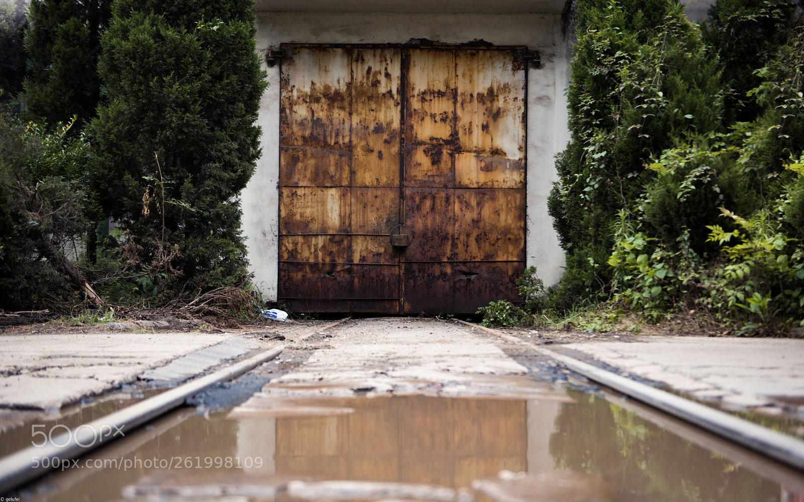 Nikon D750 sample photo. Abandoned steel factory photography