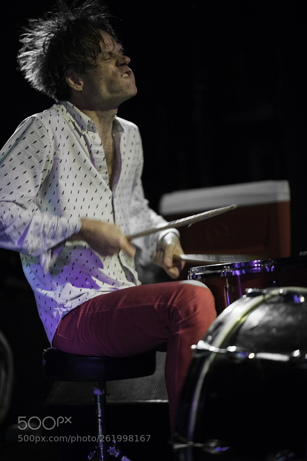 Nikon D850 sample photo. Deerhoof photography
